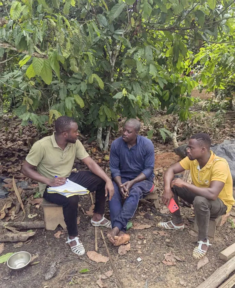 Technicien et deux producteurs discutant à l'ombre des cacaoyers, documents en main