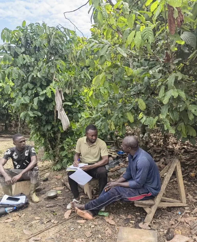 Technicien de la coopérative expliquant un document à un producteur sous les arbres d'un verger